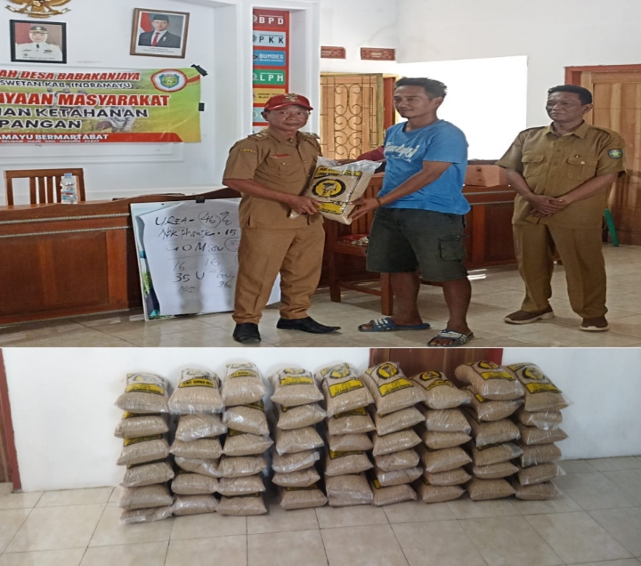 Pemdes Babakanjaya Melaksanakan Pelatihan Ketahanan Pangan Dengan Kelompok Tani Dan Pembagian Bibit Benih Padi
